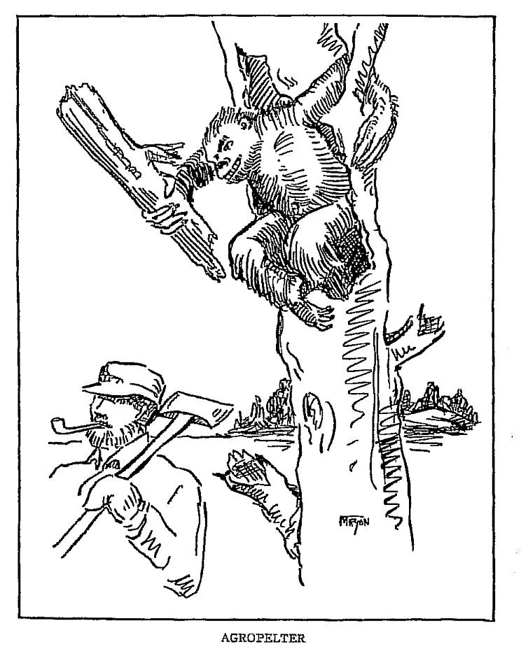 Agropelter